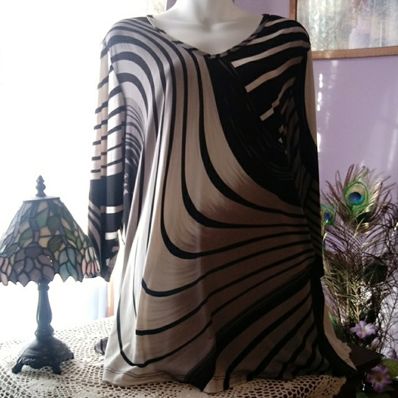 csc Tops - 2 for $15 Woman's tunic top